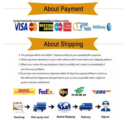 Anime Roronoa Zoro Outfit – Halloween Costume for Men