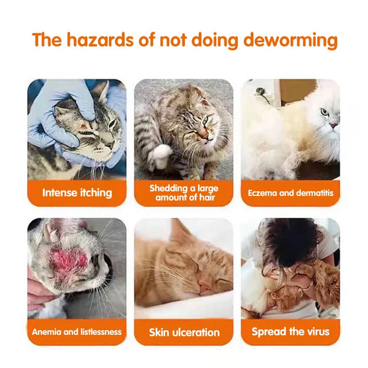 Effective Deworming Tablets for Dogs & Cats – Kills 6 Types of Worms Fast