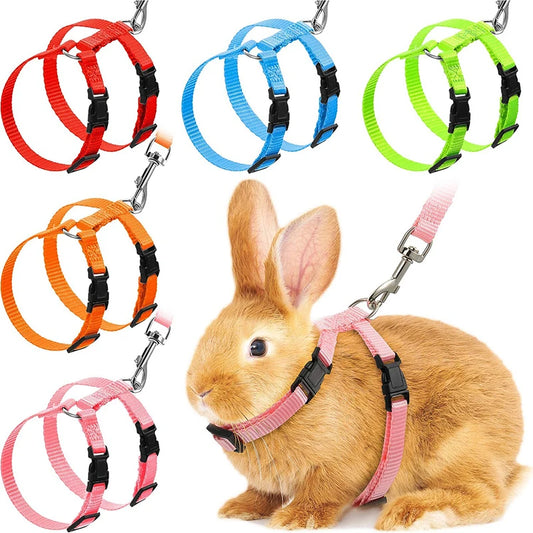 Affordable Adventure: Adjustable Harness & Leash Set for Pets