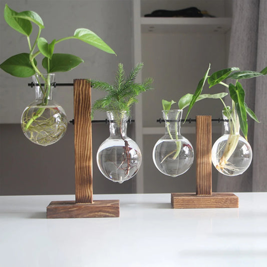 Stylish Glass Desktop Planter: Hydroponic Bulb Vase with Wooden Stand