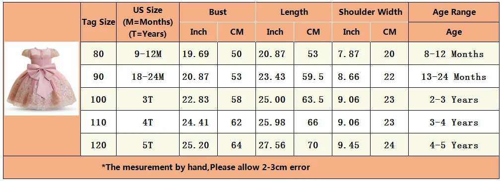 Princess Party Dress – Lace Embroidery with Ruffles