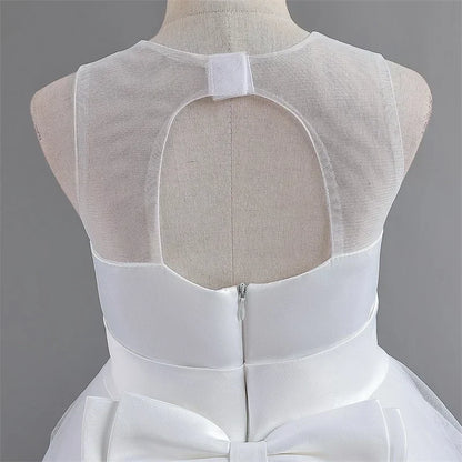 Princess Party Dress – Lace Formal Dress for Girls